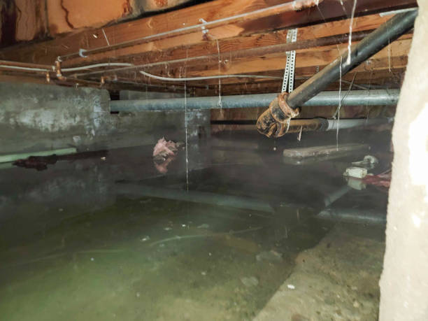  Milton, WV Water damage restoration Pros