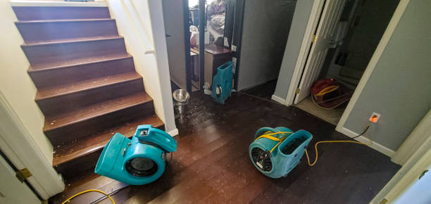 Best Carpet water damage restoration  in Milton, WV