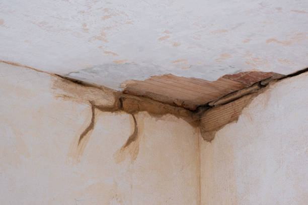 Best Sewage cleanup and water damage restoration  in Milton, WV