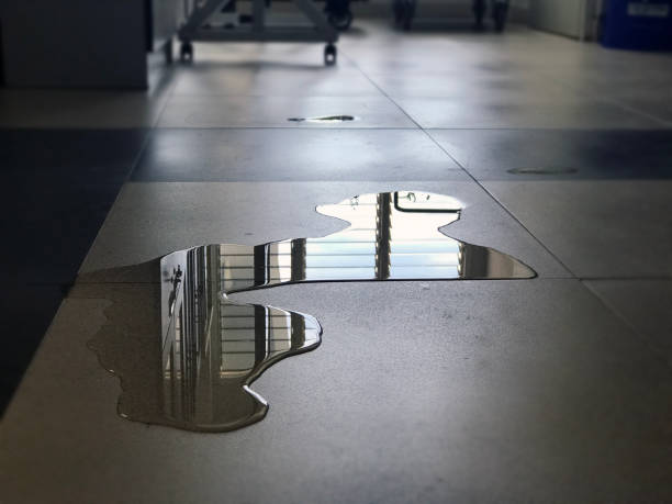 Best 24-hour water damage restoration  in Milton, WV