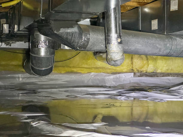 Best Flood restoration services  in Milton, WV