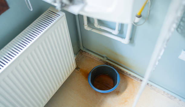 Best Flood damage cleanup  in Milton, WV