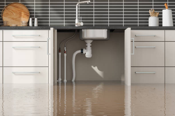 Best Professional water damage repair  in Milton, WV