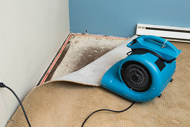 Best Carpet water damage restoration  in Milton, WV